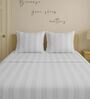 Light Blue Cotton 300TC 2CM Striped Super King Bedsheet with 2 Pillow Covers
