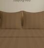 Brown Cotton 300TC 2CM Striped Super King Bedsheet with 2 Pillow Covers