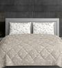 Grey Cotton Heavy Winter 210TC Printed Double 400GSM Comforter