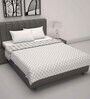 Grey Cotton Patterned 120 GSM Double Bed Dohar