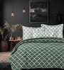 Green Cotton 210TC Printed All Weather Double 150GSM Bedding Set 1 Comforter 1 Bedsheet 2 Pillow Covers