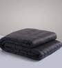 Grey Solid Cotton 300 GSM Single Bed Blanket