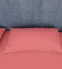 Peach Cotton Solid Finest 300TC Plain Super King Bedsheet with 2 Pillow Covers