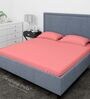 Peach Cotton Solid Finest 300TC Plain Super King Bedsheet with 2 Pillow Covers