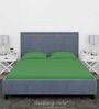 Green Cotton Solid Finest 300TC Plain Super King Bedsheet with 2 Pillow Covers