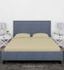 Beige Cotton Solid Finest 300TC Plain Super King Bedsheet with 2 Pillow Covers