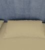Beige Cotton Solid Finest 300TC Plain Super King Bedsheet with 2 Pillow Covers