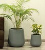 Grey Fiber Glass Cylindrical Shaped Medium Floor Planter