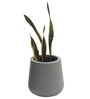 Grey Fiber Glass Cylindrical Shaped Medium Floor Planter