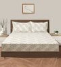 Grey Floral 160 TC Cotton Fitted Double Bedsheet with 2 pillow cover