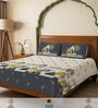 Grey Floral 300 TC Cotton King Sized Fitted Bedsheet with 2 Pillow Covers