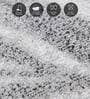 Grey Floral Polypropylene 5 ft x 2.5 ft Machine Made Runner