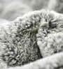 Grey Fluffy Fur Polyester Single Duvet Covers Folklore Collection