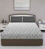 Grey Geometric 180 TC Cotton Queen Sized Bed Sheets with 2 Pillow Covers