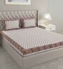 Brown Traditional 600 Tc Cotton Double King Sized Bedsheet With 2 Pillow Covers