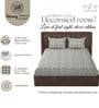 Grey Glace Cotton Paisley Print Elastic Fitted King Bedsheet With 2 Pillow Covers