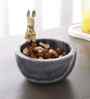 Grey Marble Nut Candy Bowl Brass Bunny Embedded