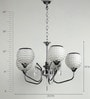 Grey Glass Shaded Chandelier