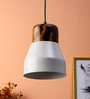 Kassandra Grey Metal Single Hanging Lights