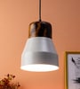 Kassandra Grey Metal Single Hanging Lights