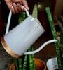 Grey Metal Premium Watering Can