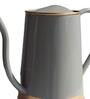 Grey Metal Premium Watering Can