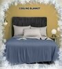 Grey Nylon Solid 180 GSM Reversible Single Blanket