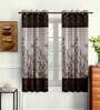 Brown Traditional Polyester 5 Ft Semisheer Eyelet Window Curtains (Set of 2)