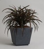 Grey Polymer 12 Inch Square Planter