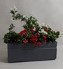 Grey Polymer 24 Inch Rectangular Planter