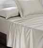 Grey Self Print 300 TC Cotton King Size Bed Sheet with 2 Pillow Covers 23 Collection