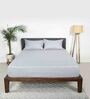 Grey Solid 200 TC 100% Cotton Queen Sized Fitted Bed Sheets with 2 Pillow Covers