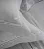 Grey Solid 300 TC Cotton King Size Bed Sheet with 2 Pillow Covers 24 Collection