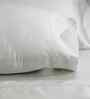 Grey Solid 300 TC Tencel King Size Bed Sheet with 2 Pillow Covers 24 Collection
