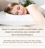 Grey Solid 400 TC Cotton 1 King Bedsheet With 2 Pillow Covers