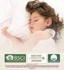 Grey Solid 400 TC Cotton 1 King Bedsheet With 2 Pillow Covers