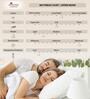 Grey Solid 400 TC Cotton 1 King Bedsheet With 2 Pillow Covers