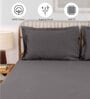 Grey Solid 600 TC Cotton 1 Double Bedcover with 2 Pillow cover