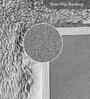 Grey Solid Polyester 5x8 Feet Machine Made Carpet
