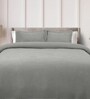Grey Solid TC 120 Cotton Double Queen Bedcover With 2 Pillow Covers