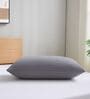 Grey Terry 300 TC Waterproof 18x28 inches Pillow Protector Cover (1Pc)