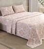 Grey & Maroon Traditional 200 TC 100% Cotton Queen Size Bed Sheets with 2 Pillow Covers Serenity  Collection