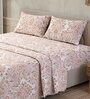 Grey & Maroon Traditional 200 TC 100% Cotton Queen Size Bed Sheets with 2 Pillow Covers Serenity  Collection