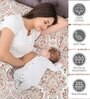 Grey & Maroon Traditional 200 TC 100% Cotton Queen Size Bed Sheets with 2 Pillow Covers Serenity  Collection