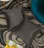 Grey Velvet Abstract 16X16 Inches Cushion Covers (Pack of 2)
