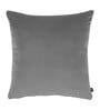 Grey Velvet Solid 16x16 inches Cushion Cover (Set of 2)
