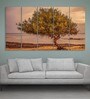 Grey Wood Multiple Frames Beautiful Tree Art Panels