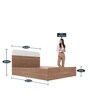 Grove Queen Size Bed with Storage in Brown Colour