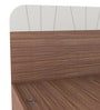 Grove Queen Size Bed with Storage in Brown Colour