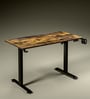 GT ImperiumPro 4FT Electric Height Adjustable Table in Brown Colour